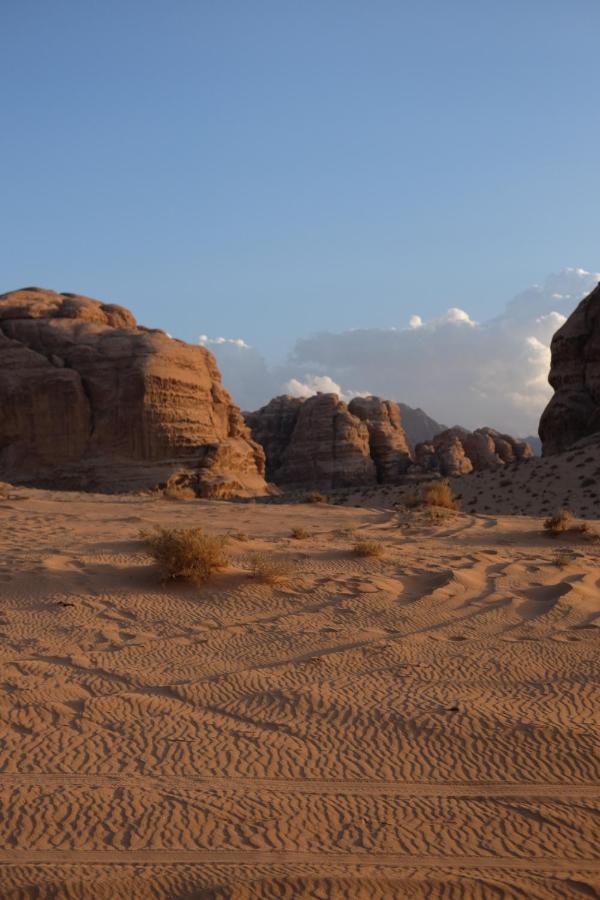 Wadirum Momoo Wadi Rum Exterior foto